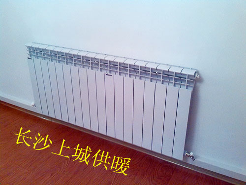童話(huà)里3棟706房明裝暖氣片實(shí)景